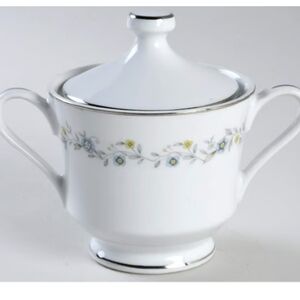 Acsons chantilly fine china,platinum trim.Status: The pattern is discontinued.